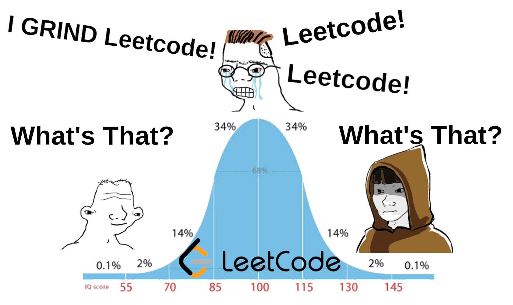 leetcode meme
